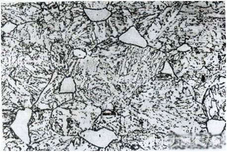 10Cr13 650度回火索氏體(tǐ)鐵素體(tǐ)組織