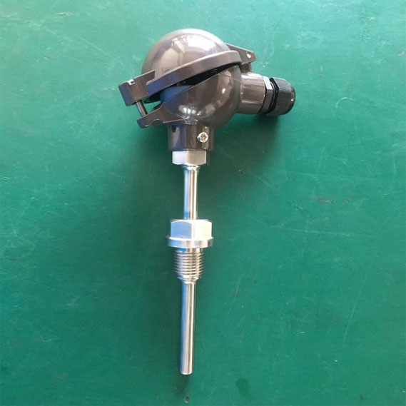 一體化數顯溫度(dù)傳感器